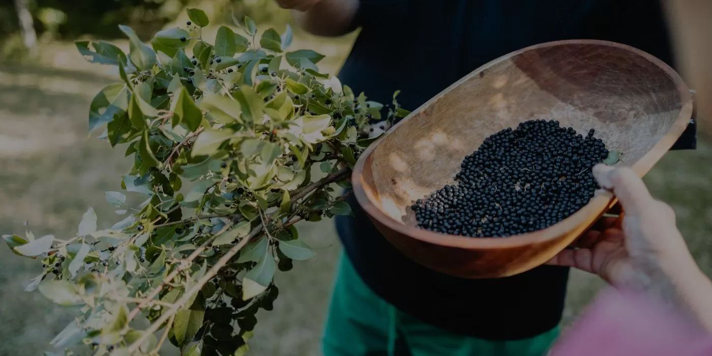 alimentación mapudungun